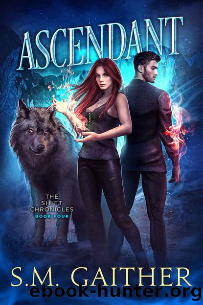 Ascendant by S M Gaither