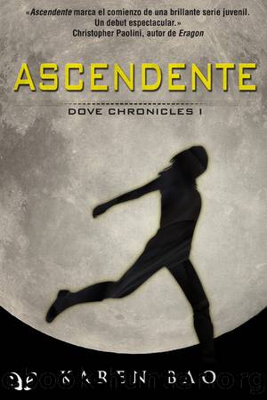 Ascendente by Karen Bao