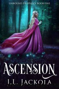 Ascension by J. L. Jackola