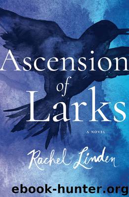 Ascension of Larks by Rachel Linden