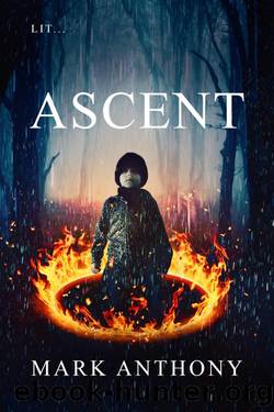 Ascent by Mark Anthony
