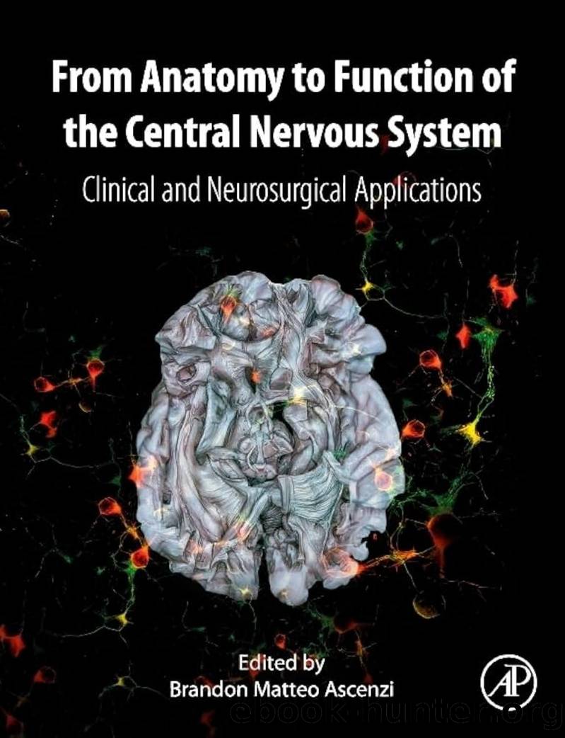 Ascenzi B. From Anatomy to Function of the Central Nervous System...2024 by Unknown