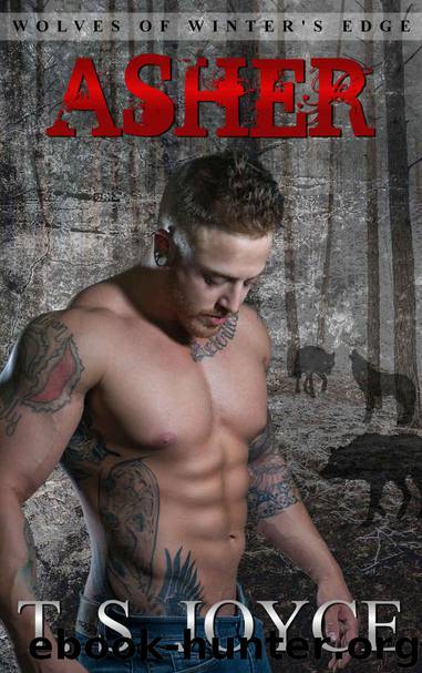 Asher (Wolves of Winter's Edge Book 3) by Joyce T. S