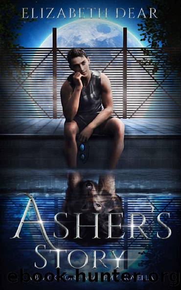Asher's Story: A Blackstone Academy Novella by Elizabeth Dear