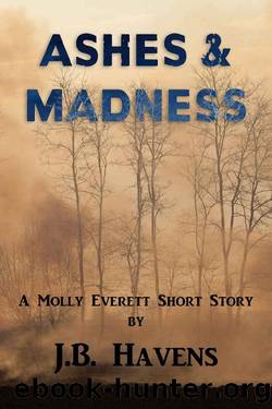 Ashes and Madness by J. B. Havens