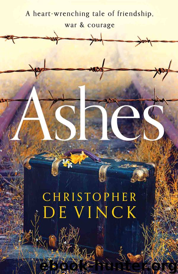Ashes by Christopher de Vinck