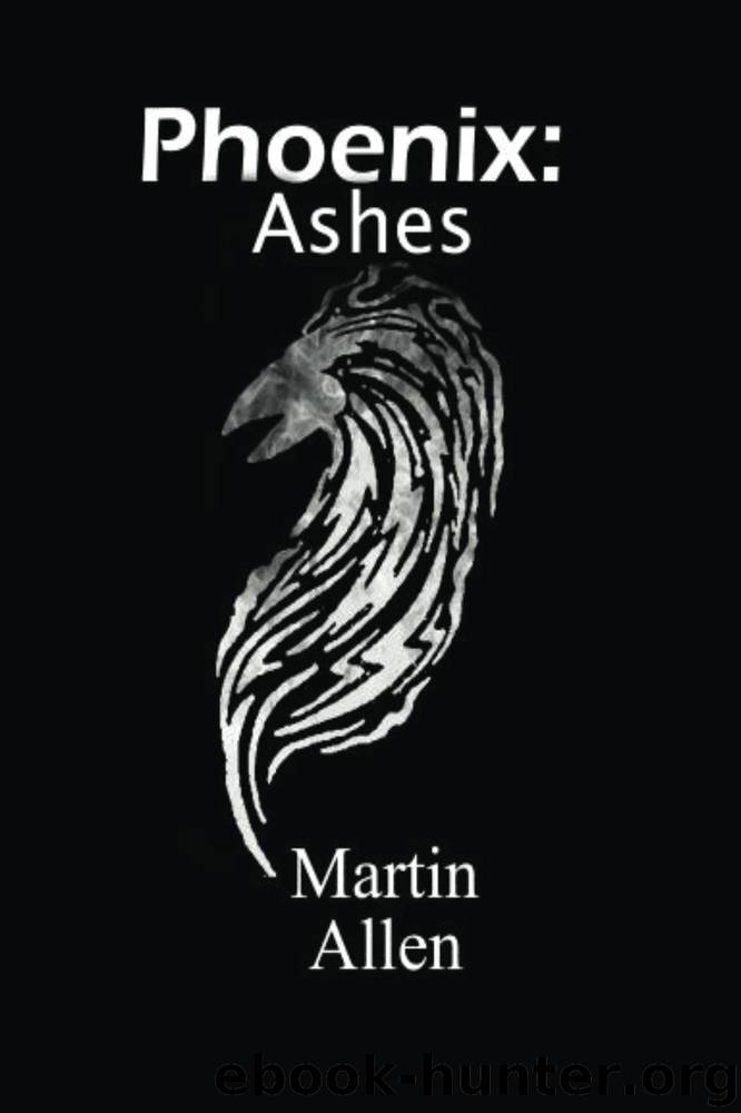 Ashes by Martin Allen