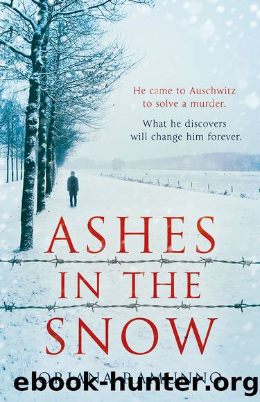 Ashes in the Snow by Oriana Ramunno