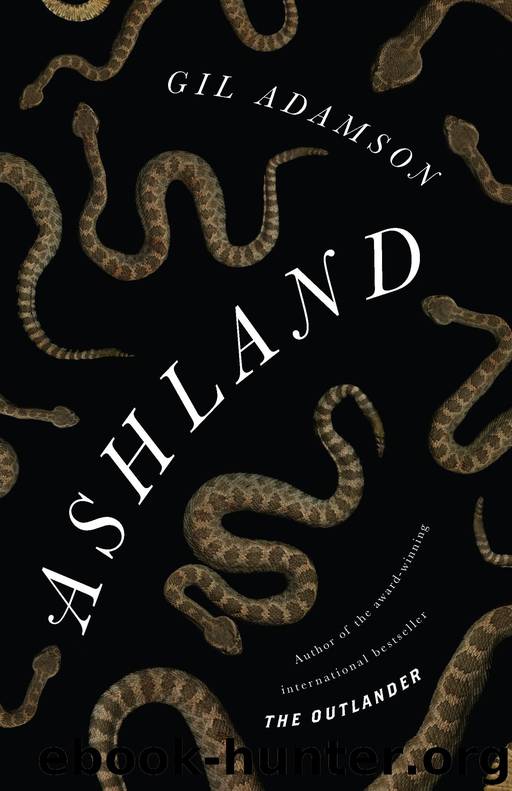 Ashland by Gil Adamson