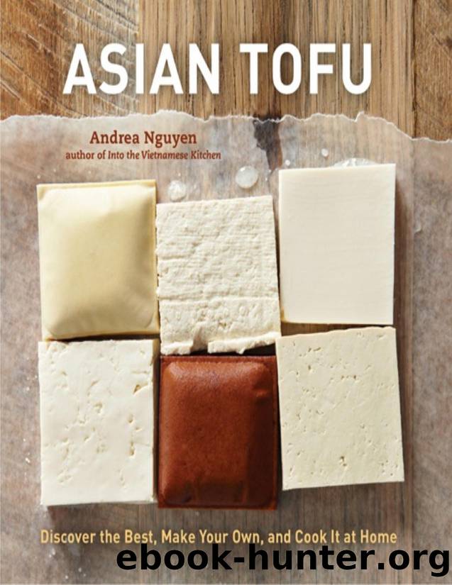 Asian Tofu: Discover the Best, Make Your Own, and Cook It at Home - PDFDrive.com by Andrea Nguyen