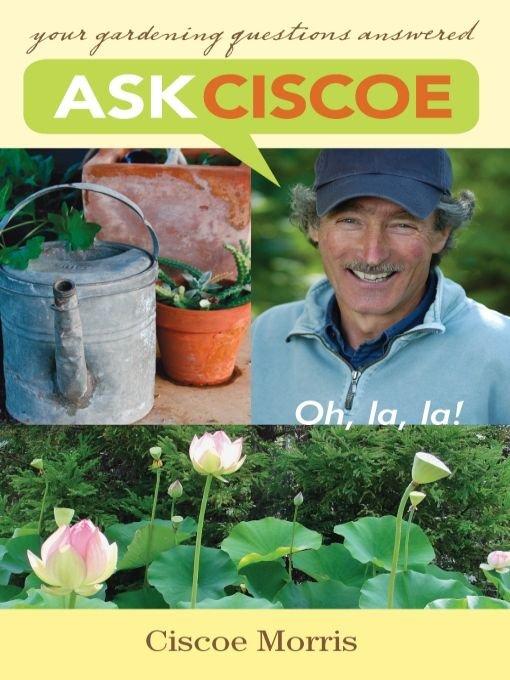 Ask Ciscoe by Morris Ciscoe