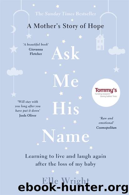 Ask Me His Name by Elle Wright