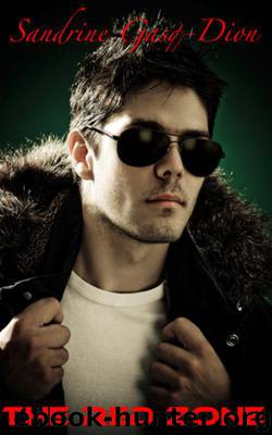 Assassin 11-The Red Zone by Sandrine Gasq-Dion