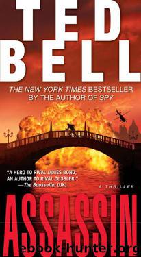Assassin by Ted Bell