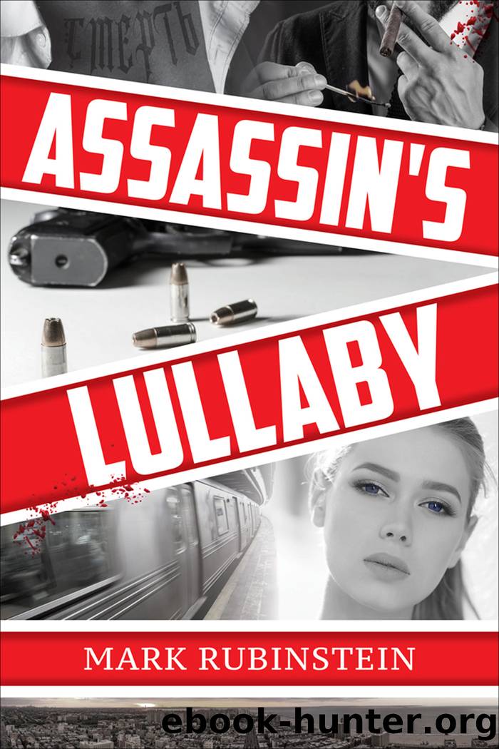 Assassin's Lullaby by Mark Rubinstein