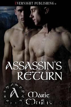 Assassin's Return by Marie Medina