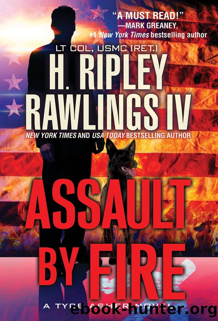 Assault by Fire by H. Ripley Rawlings