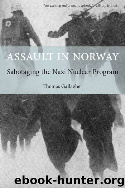 Assault in Norway by Gallagher Thomas