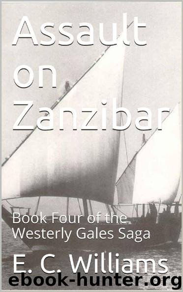 Assault on Zanzibar by E. C. Williams