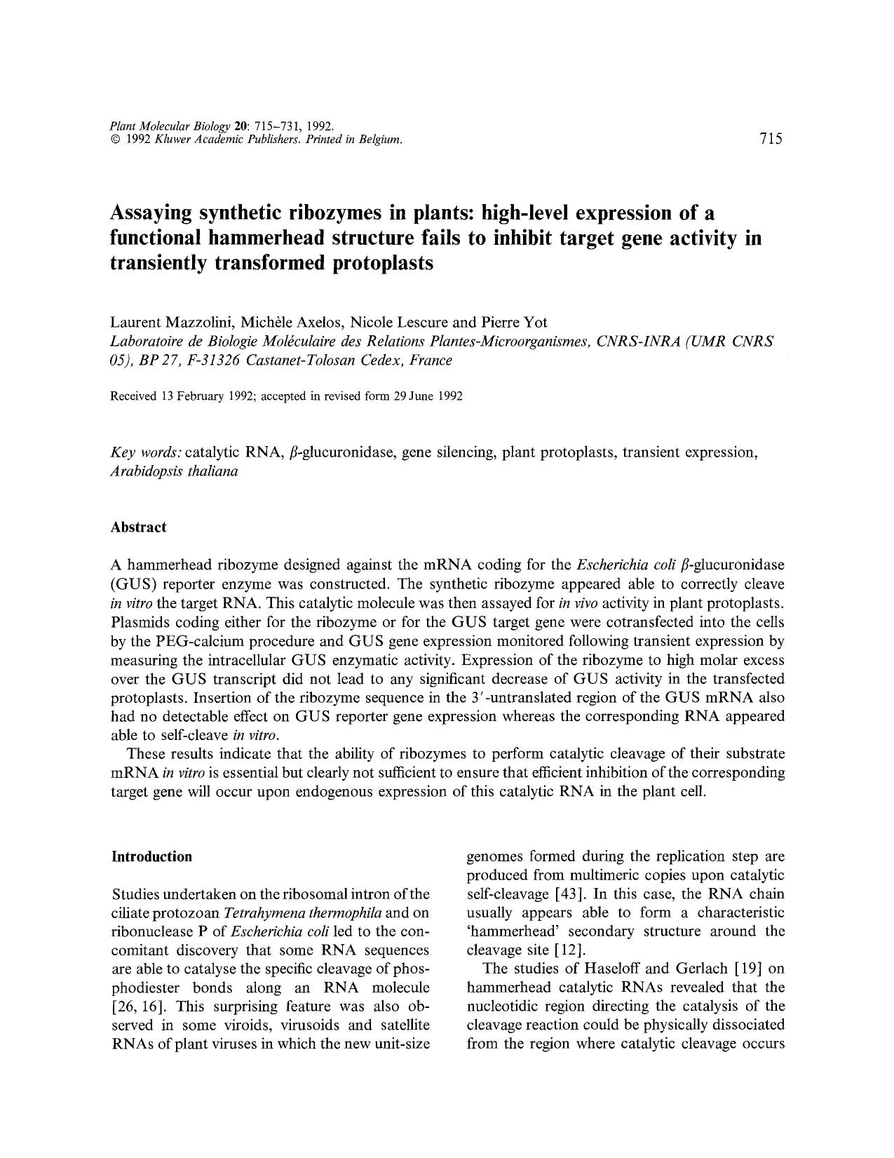 Assaying synthetic ribozymes in plants: high-level expression of a functional hammerhead structure fails to inhibit target gene activity in transiently transformed protoplasts by Unknown