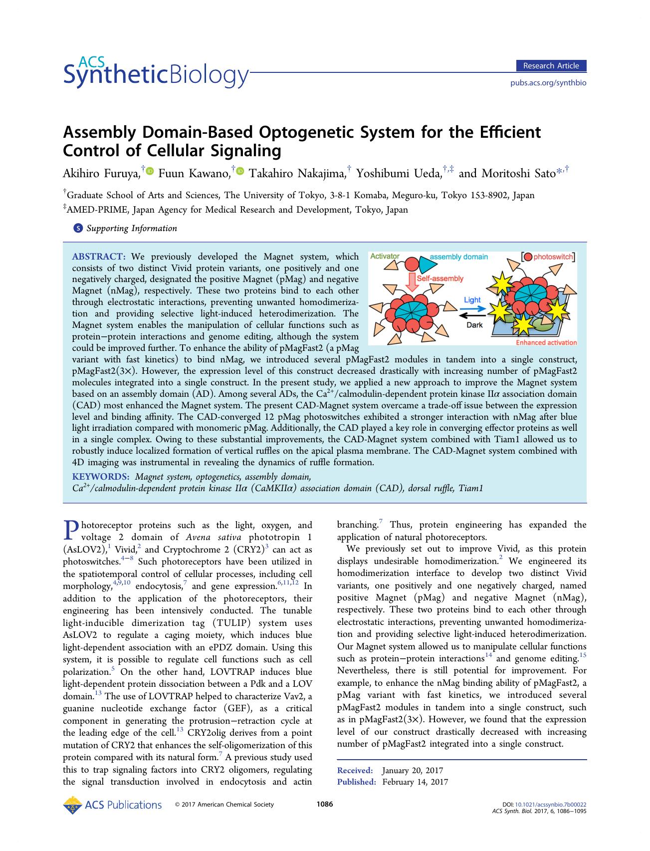 Assembly Domain-Based Optogenetic System for the Efficient Control of Cellular Signaling by Akihiro Furuya Fuun Kawano Takahiro Nakajima Yoshibumi Ueda and Moritoshi Sato