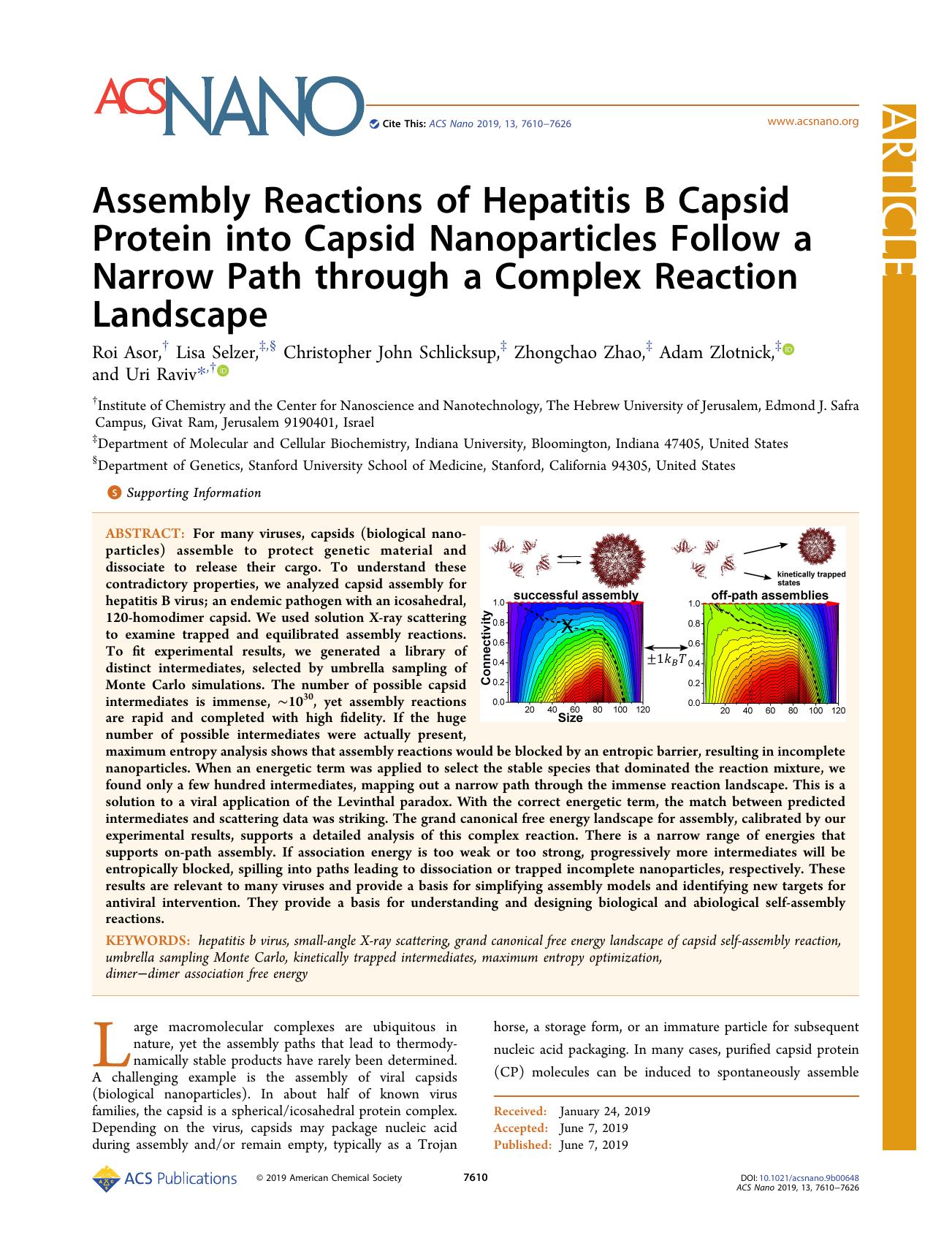 Assembly Reactions of Hepatitis B Capsid Protein into Capsid Nanoparticles Follow a Narrow Path through a Complex Reaction Landscape by Roi Asor Lisa Selzer Christopher John Schlicksup Zhongchao Zhao Adam Zlotnick and Uri Raviv