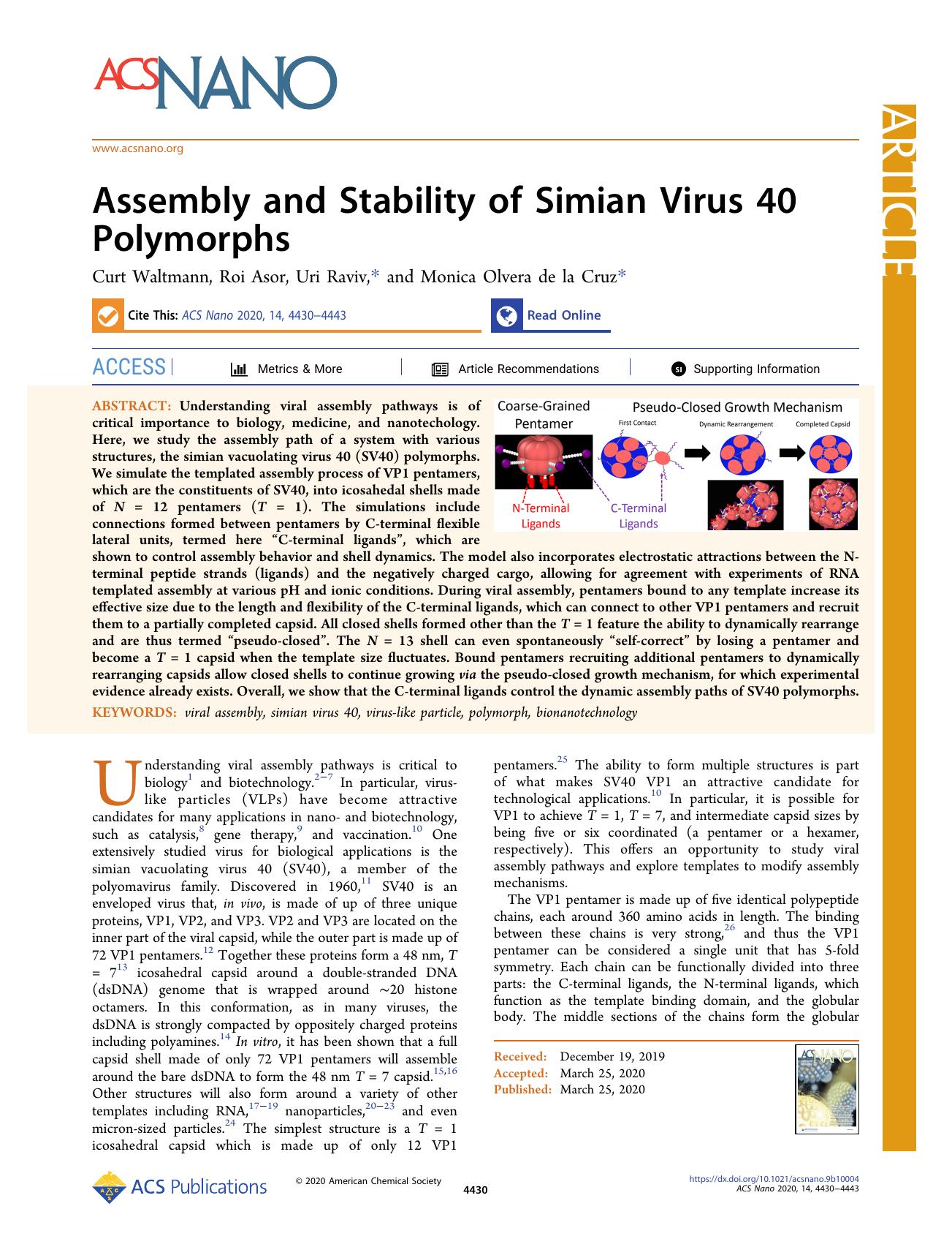 Assembly and Stability of Simian Virus 40 Polymorphs by Curt Waltmann Roi Asor Uri Raviv and Monica Olvera de la Cruz