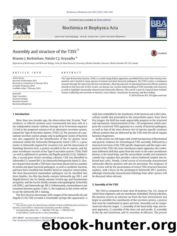 Assembly and structure of the T3SS by Brianne J. Burkinshaw & Natalie C.J. Strynadka