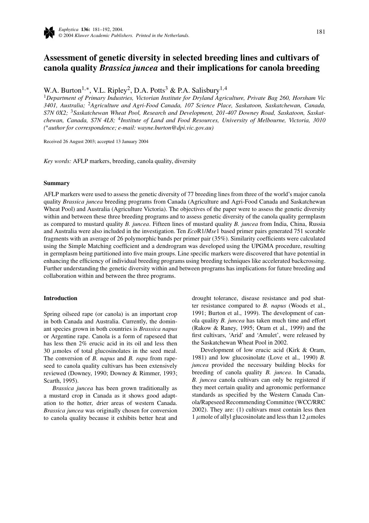 Ashley Rey: The Leaks And Their Implications - k6jfxuc