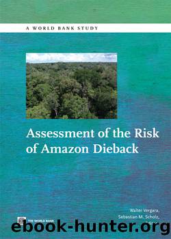 Assessment of the Risk of Amazon Dieback by Walter Vergara & Sebastian M. Scholz