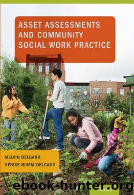 Asset Assessments and Community Social Work Practice by Melvin Delgado; Denise Humm-Delgado