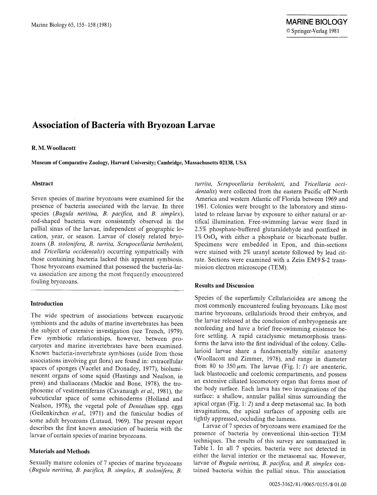 Association of bacteria with bryozoan larvae by Unknown
