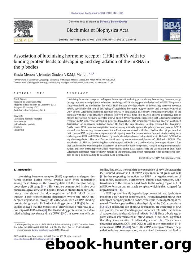 Association of luteinizing hormone receptor (LHR) mRNA with its binding protein leads to decapping and degradation of the mRNA in the p bodies by Bindu Menon & Jennifer Sinden & K.M.J. Menon