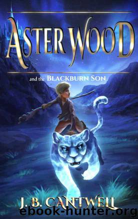 Aster Wood and the Blackburn Son (Book 3) by J. B. Cantwell