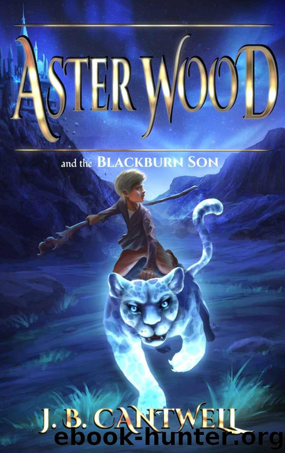 Aster Wood and the Blackburn Son by J B Cantwell