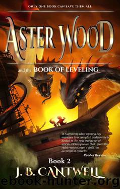 Aster Wood and the Book of Leveling (Book 2) by J. B. Cantwell