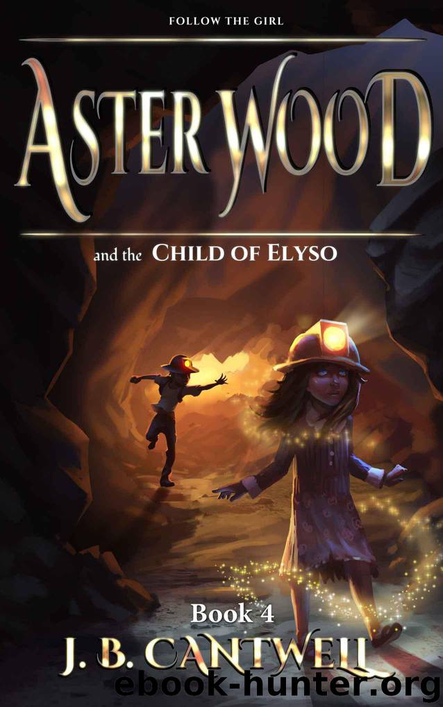 Aster Wood and the Child of Elyso (Book 4) by J. B. Cantwell
