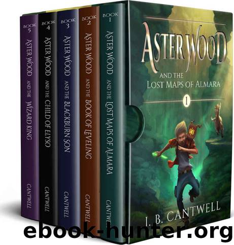 Aster Wood series Box Set by J B Cantwell