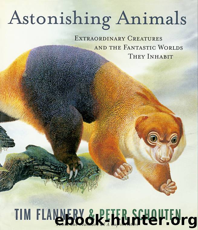 Astonishing Animals by Tim Flannery
