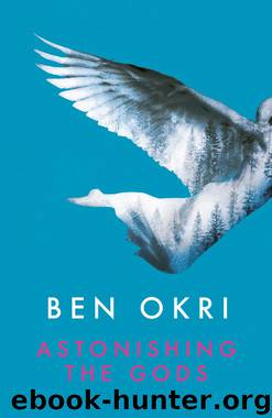 Astonishing the Gods by Ben Okri