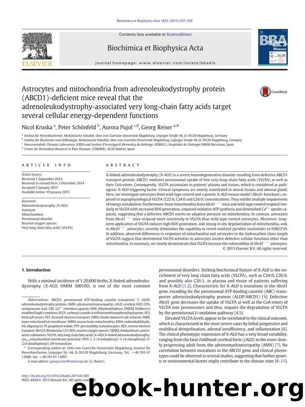 Astrocytes and mitochondria from adrenoleukodystrophy protein (ABCD1)-deficient mice reveal that the adrenoleukodystrophy-associated very long-chain fatty acids target several cell by Nicol Kruska & Peter Schönfeld & Aurora Pujol & Georg Reiser