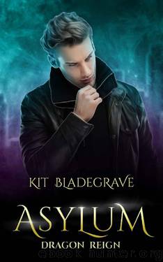 Asylum (Dragon Reign Book 6) by Kit Bladegrave
