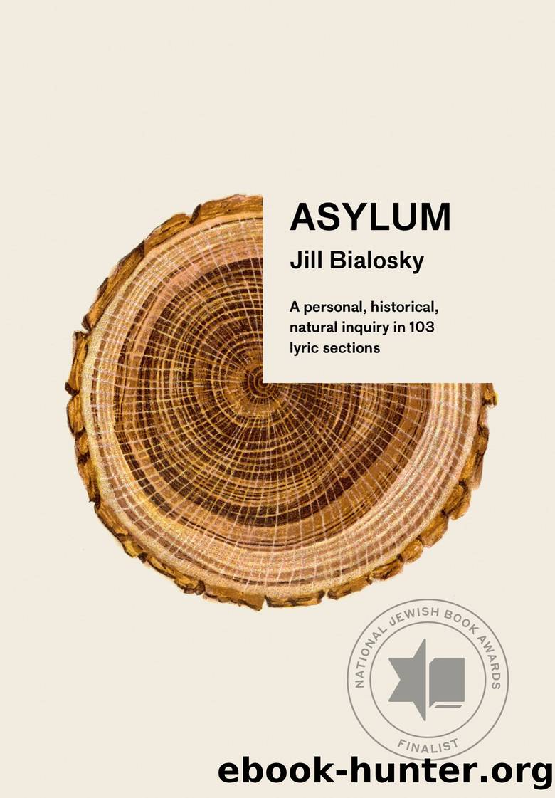 Asylum by Jill Bialosky