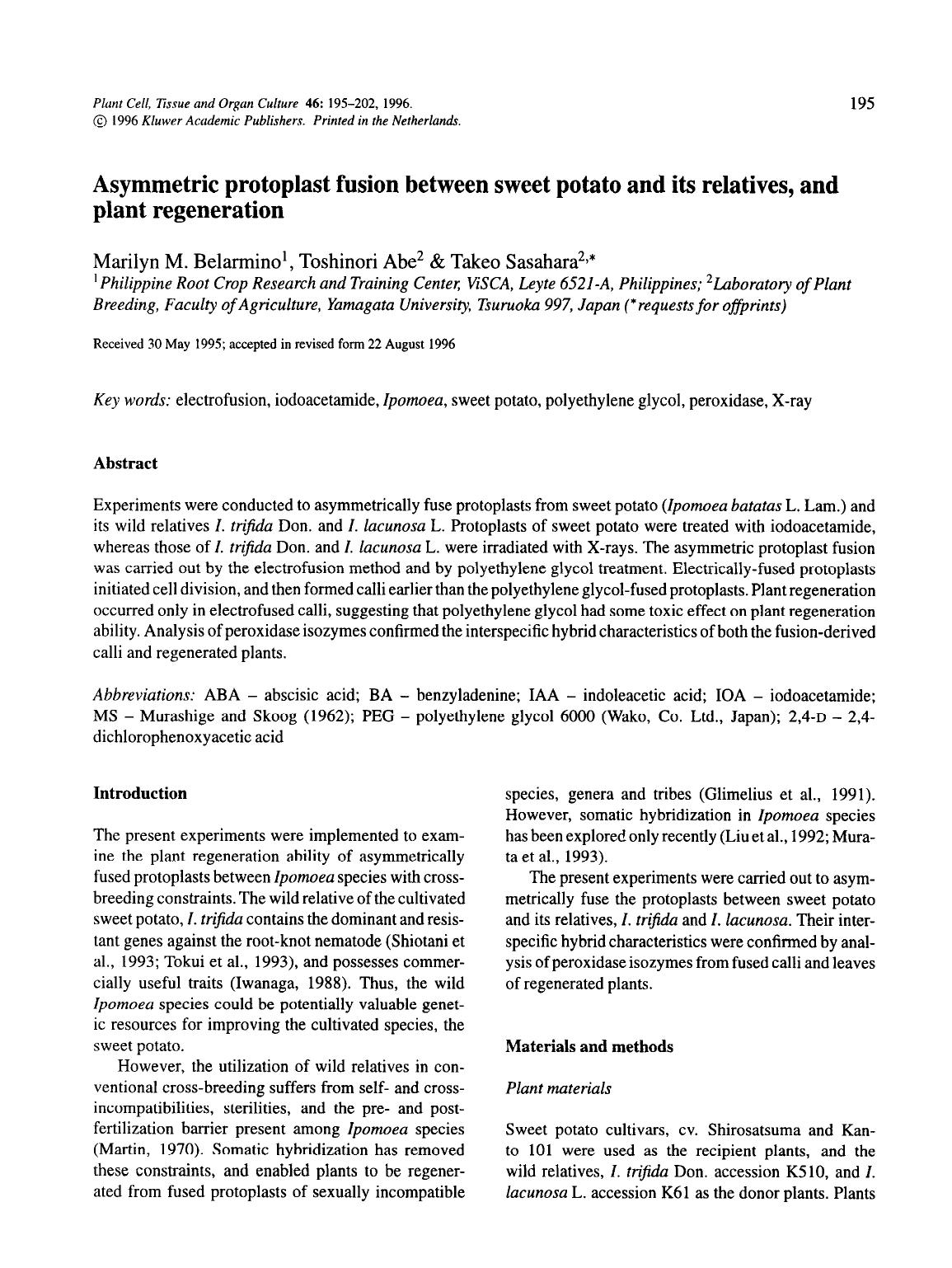 Asymmetric protoplast fusion between sweet potato and its relatives, and plant regeneration by Unknown