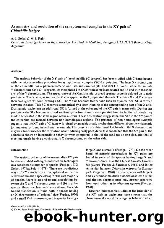 Asymmetry and resolution of the synaptonemal complex in the XY pair of <Emphasis Type="Italic">Chinchilla laniger <Emphasis> by Unknown