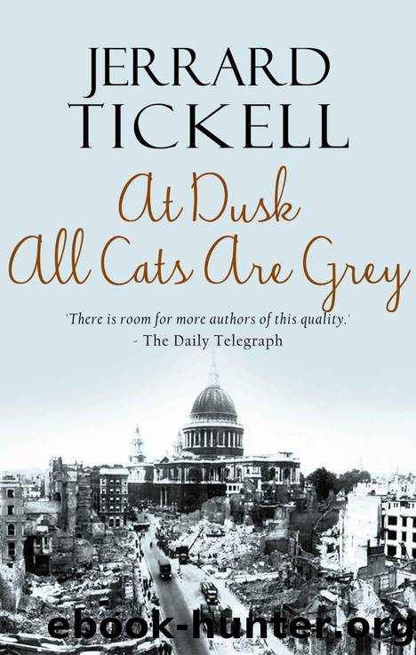 At Dusk All Cats are Grey by Tickell Jerrard