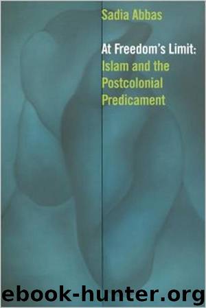 At Freedom's Limit by Abbas Sadia;