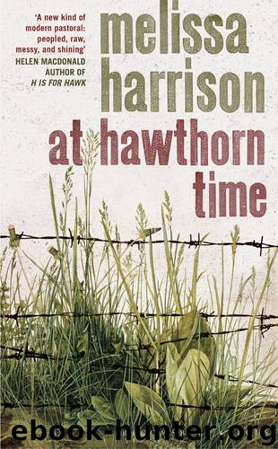 At Hawthorn Time by Melissa Harrison