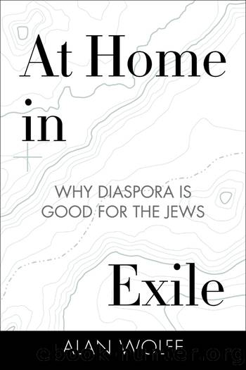 At Home in Exile by Alan Wolfe