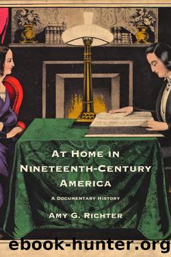 At Home in Nineteenth-Century America by Amy G. Richter